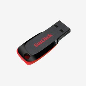 SanDisk Flash Drive